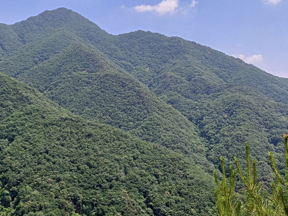 봉재산 사진 3