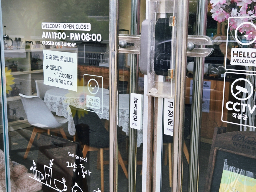 달콤한꿀냥이 사진 4