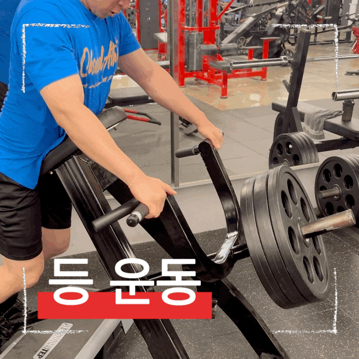  초보자도 안전하게! 데드리프트 대체 등 운동 티바로우