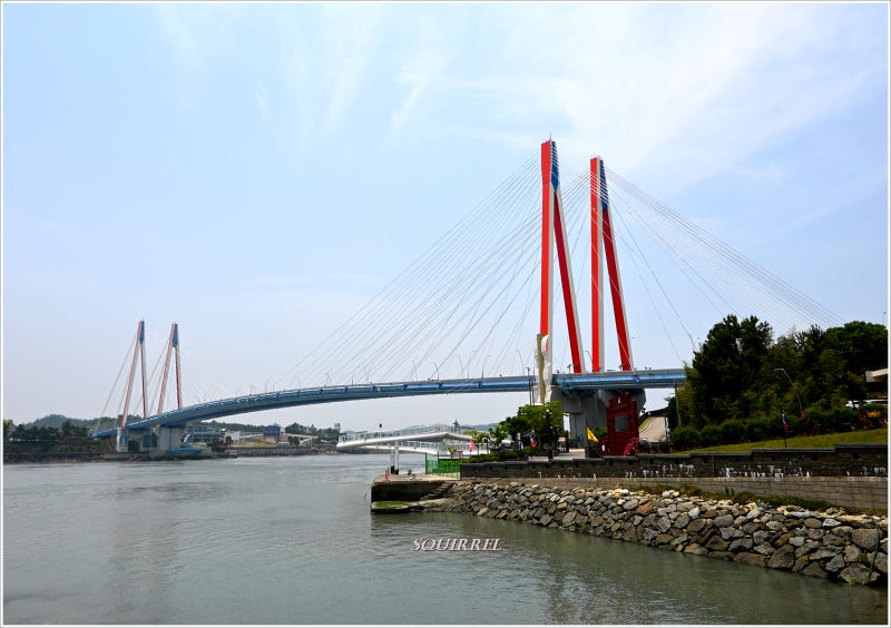 사진 5