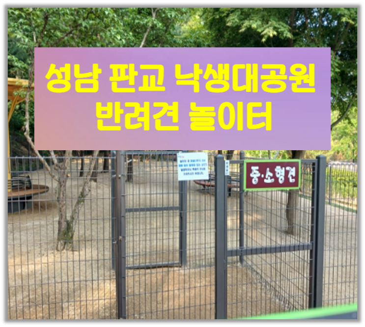  성남 판교 낙생대공원 반려견 놀이터 개장 댕댕이들의 행복 놀이터!
