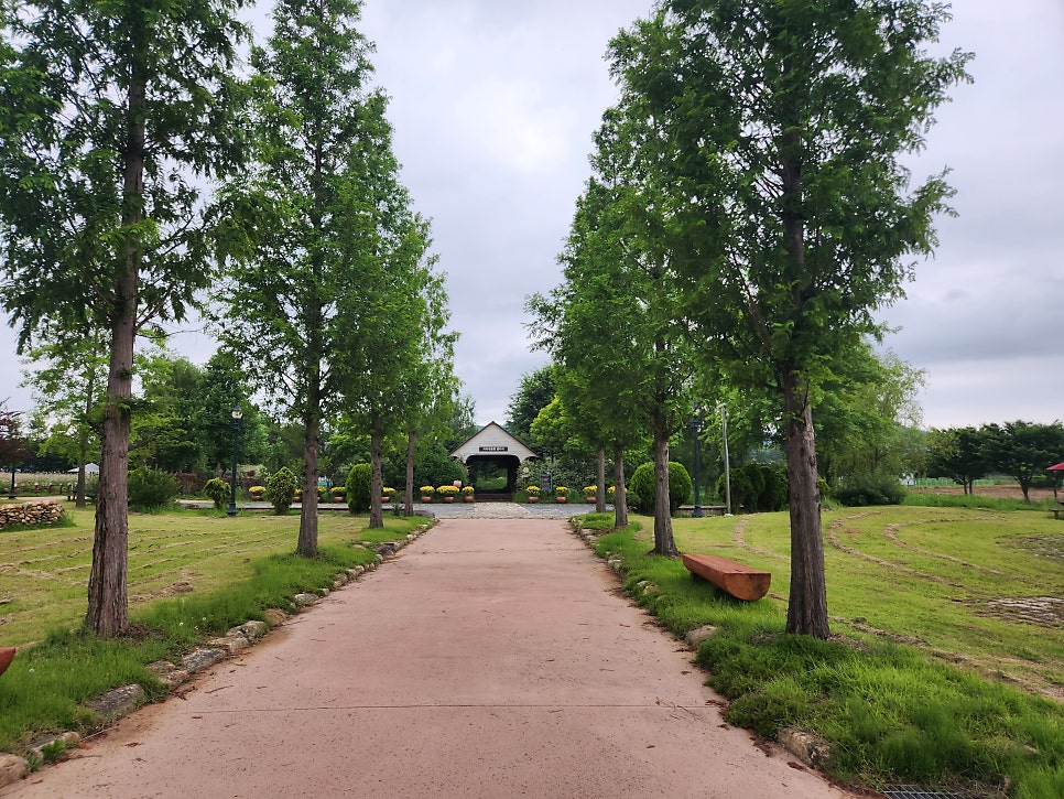 까치네 사진 3