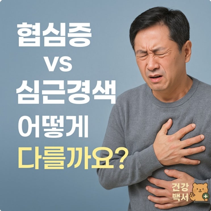  가슴 통증, 심근경색? 협심증?