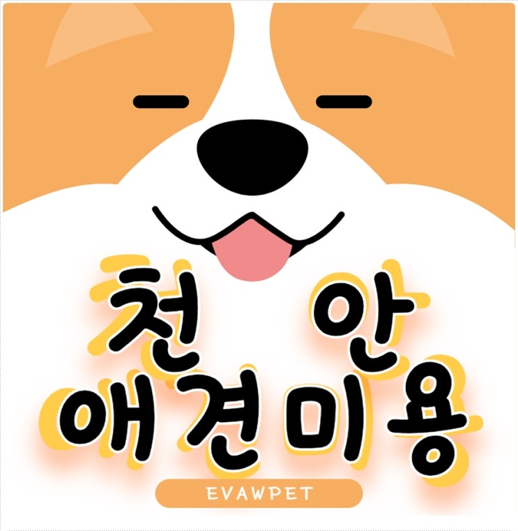  천안애견미용학원 취업과 창업까지 아우르는 현장중심 교육기관