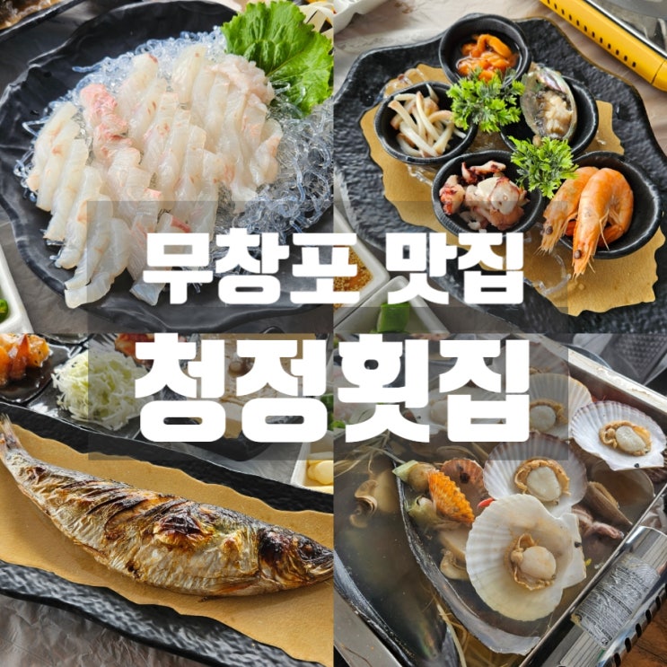  보령 무창포맛집 '청정횟집' 활어회 조개찜 스끼다시 푸짐한 횟집 추천