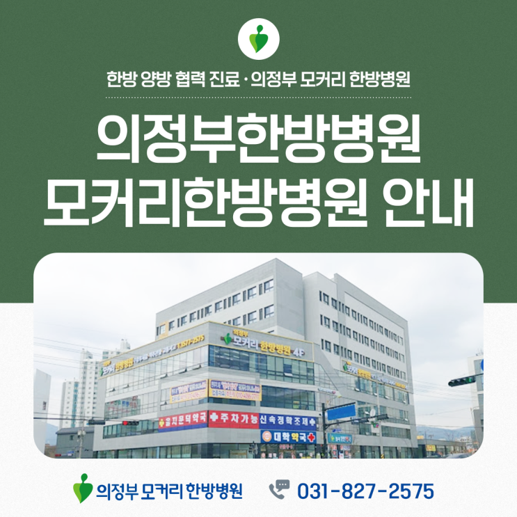  의정부 모커리한방병원, 진료 항목부터 시설까지 한눈에