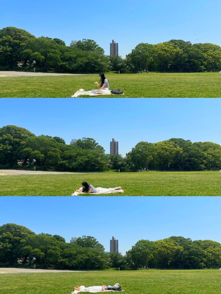  [후쿠오카 4박5일]혼여 4일차(편의점 디저트/마이즈루 공원,오호리 공원/1픽 더루츠 빵집!/배스 밤 입욕제)