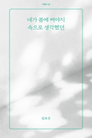  독후감: 심보선의 『네가 봄에 써야지 속으로 생각했던』