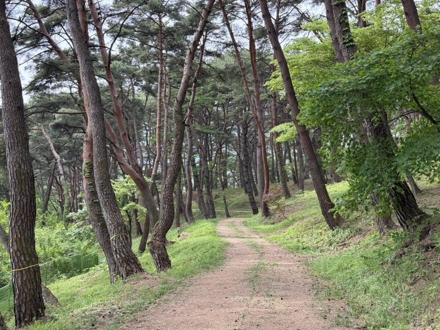 태봉산 사진 3