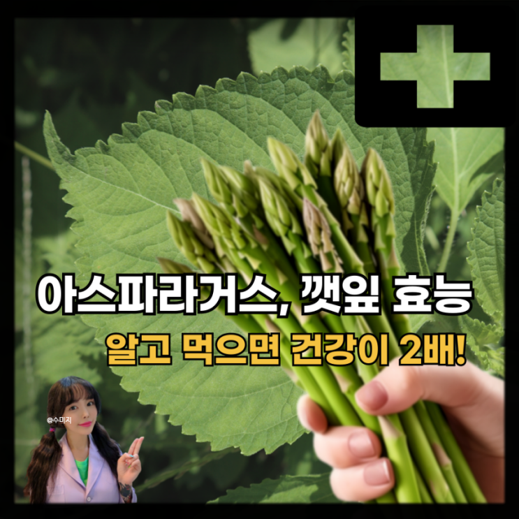 고지혈증 좋은음식 아스파라거스 효능, 깻잎 효능