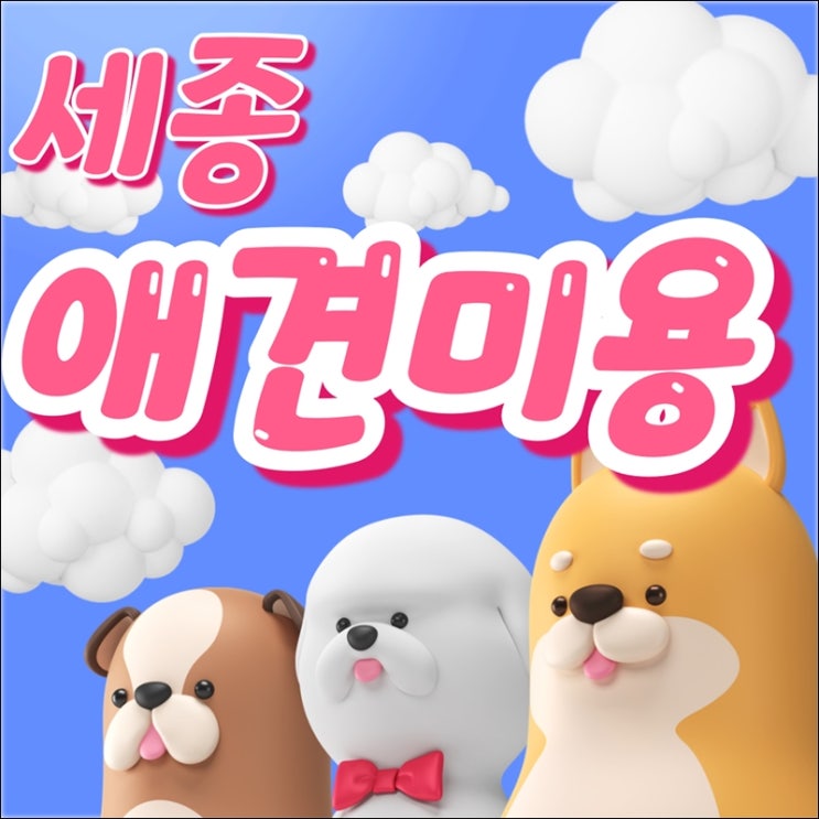  세종애견미용학원 이바우펫에서 시작하는 반려동물 전문가의 길