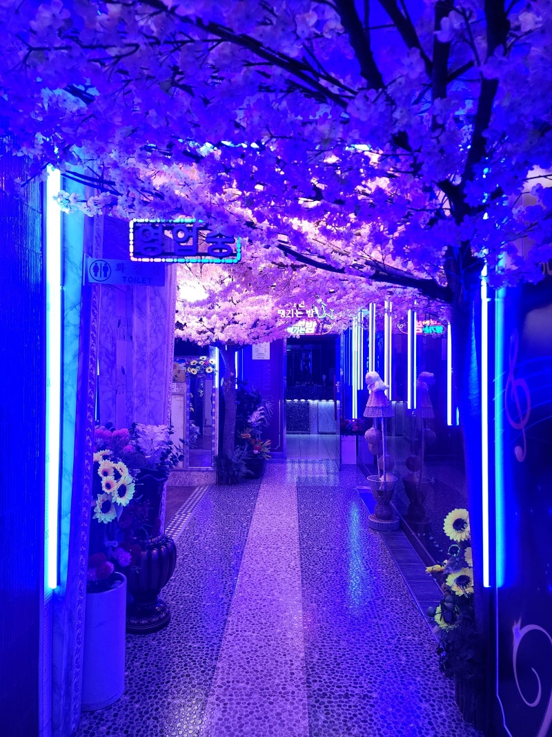 안산 시간 무제한 고잔동 노래방 <라꾸노래타운> : 네이버 블로그