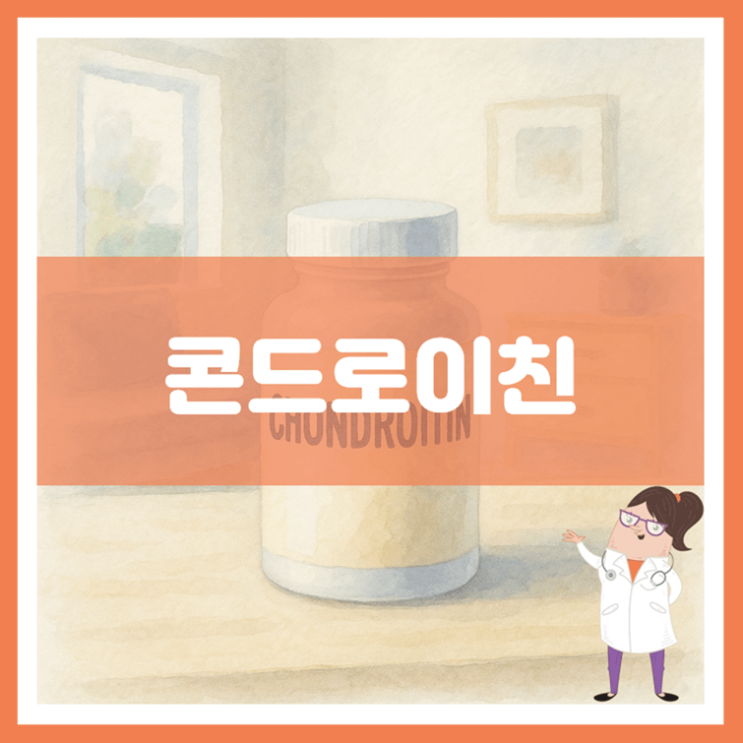  콘드로이친 5가지 효능 섭취방법 부작용