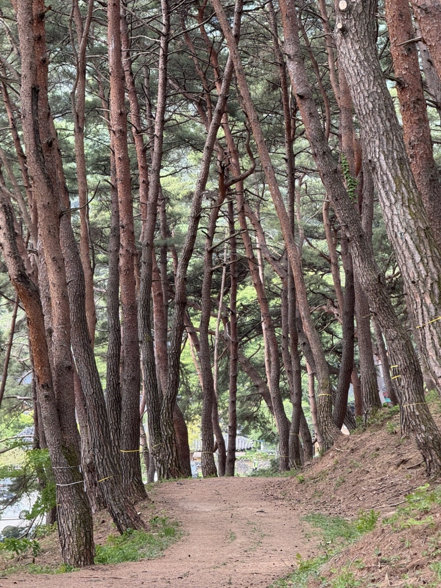 태봉산 사진 1