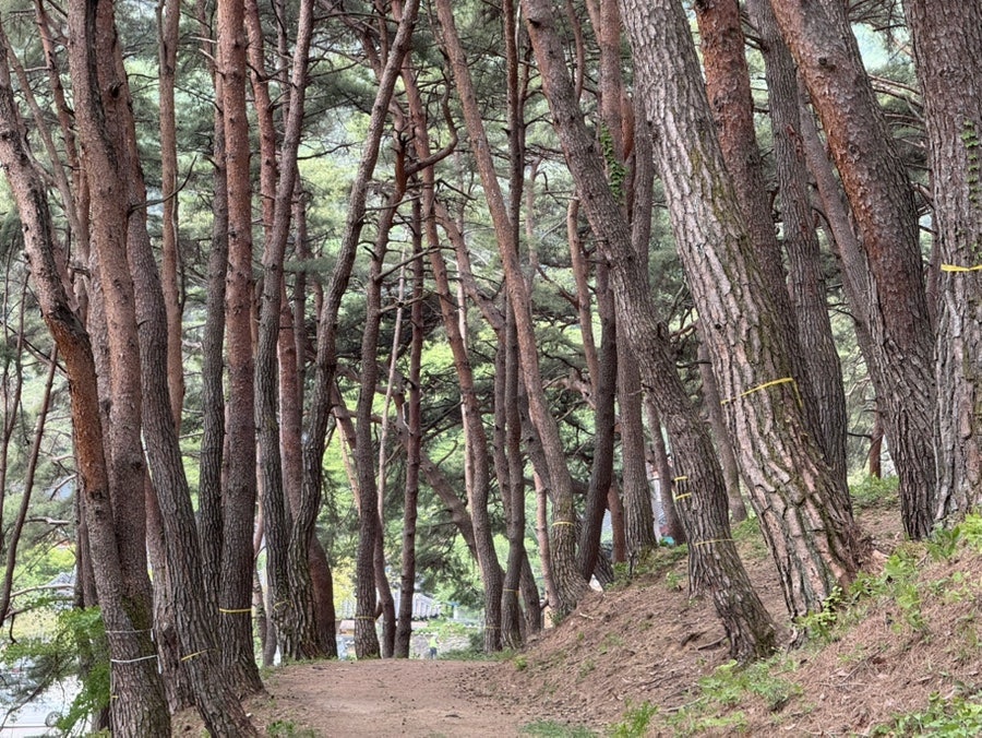 태봉산 사진 2