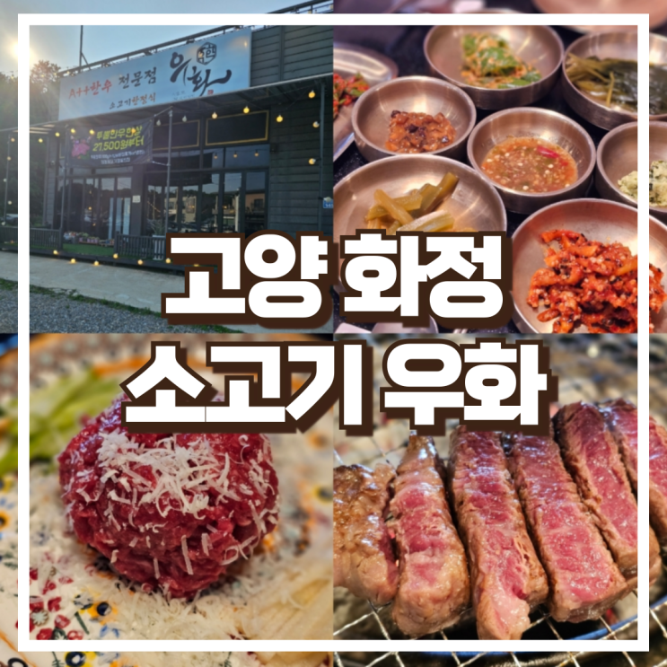  고양시 소고기 성사동 맛집 미경산 한우 전문점 우화