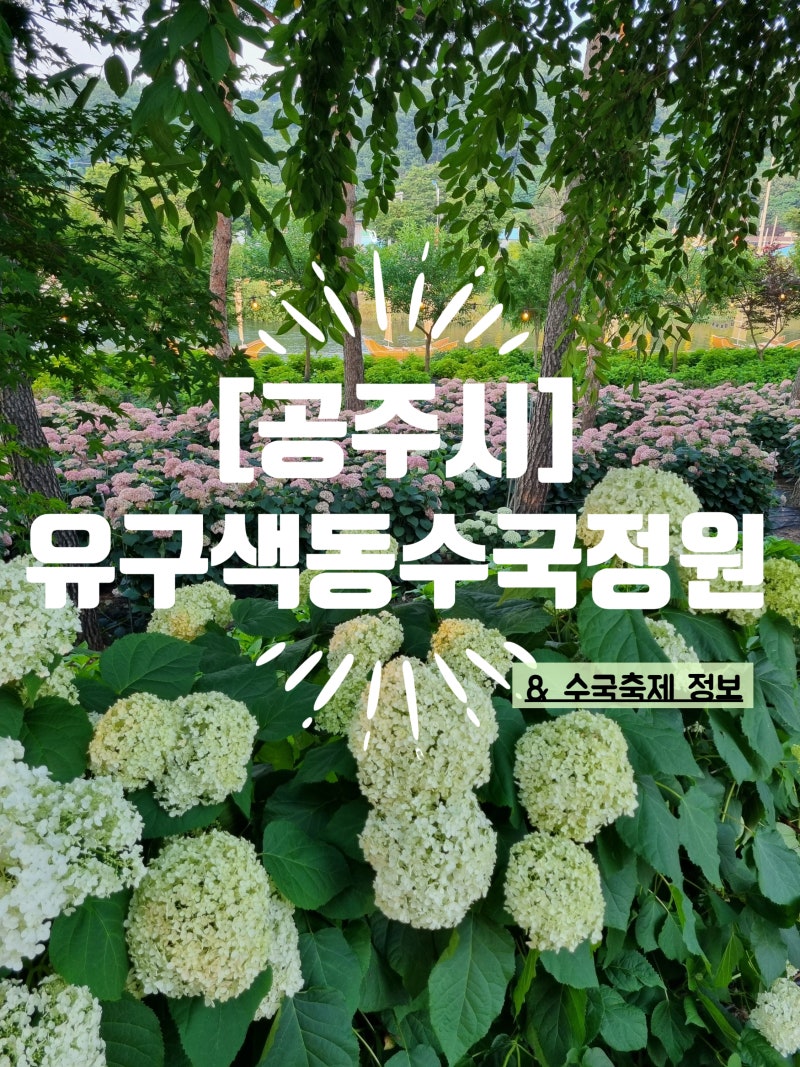 유구색동수국정원
