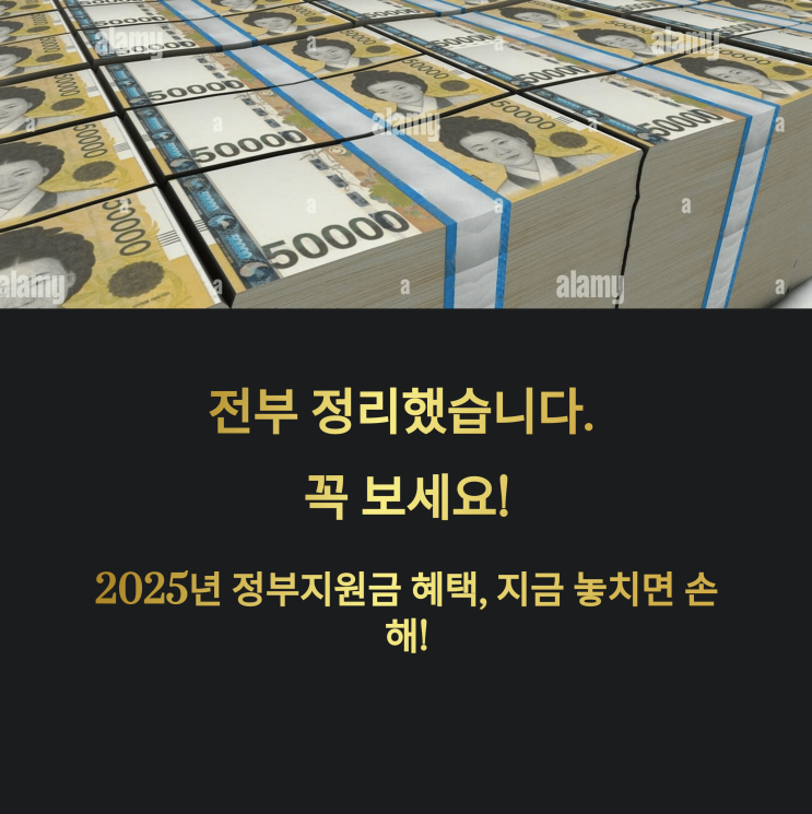  2025년, 청년이라면 무조건 신청! 정부 지원금으로 목돈 만들기 A to Z