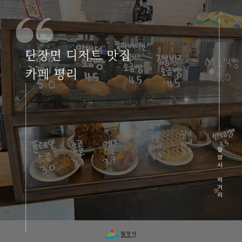 사진 5