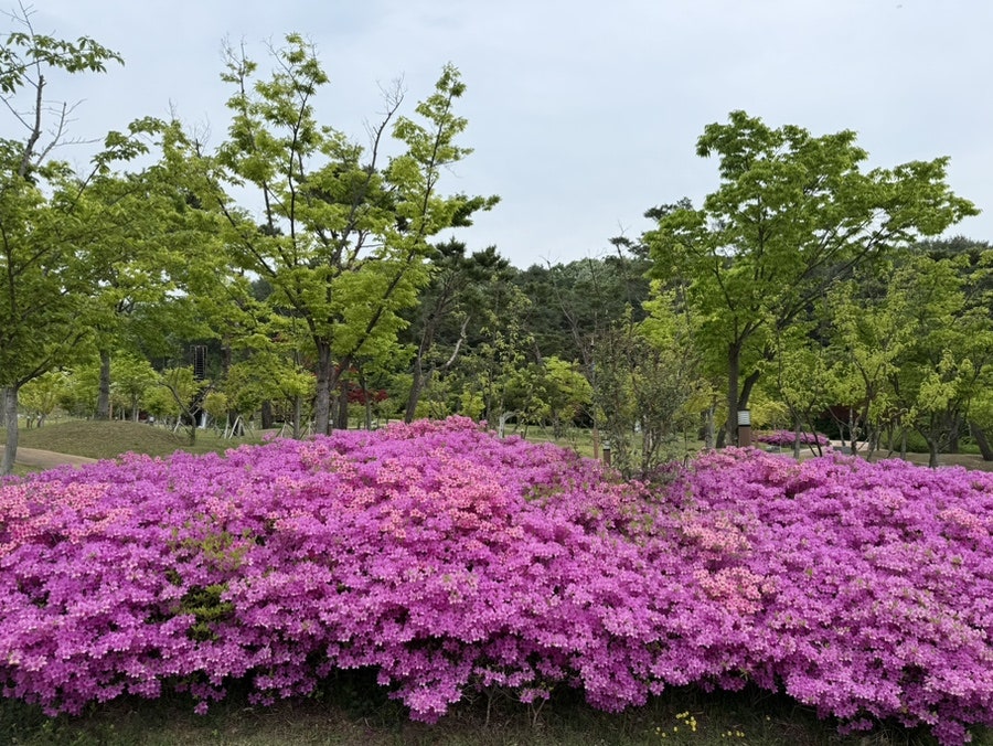 태봉산 사진 4
