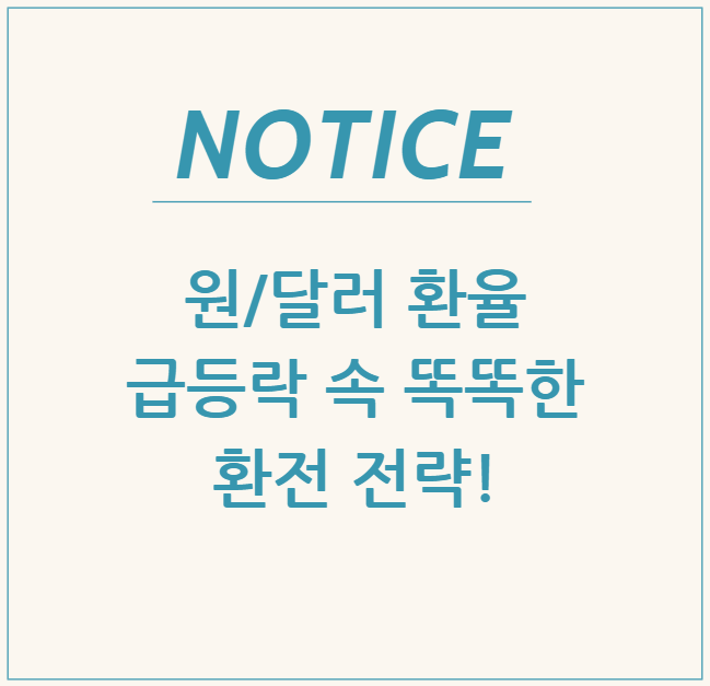  원/달러 환율 급등락 속 똑똑한 환전 전략!