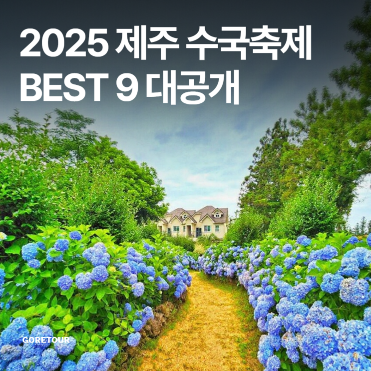  2025 제주 수국축제 BEST 9 대공개