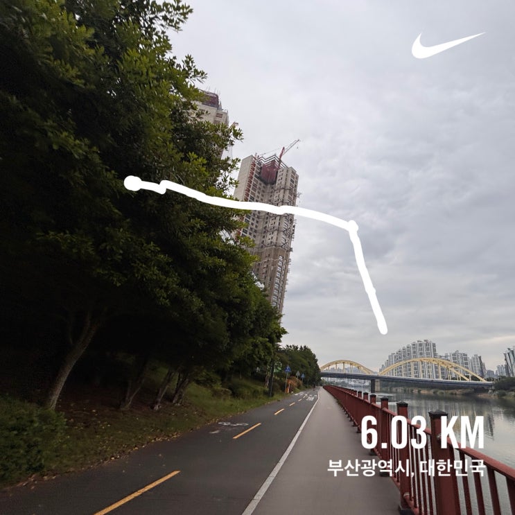  ️ 초보러너 5일차 기록 | 나이키 페가수스41과 함께한 연속 러닝의 피로감