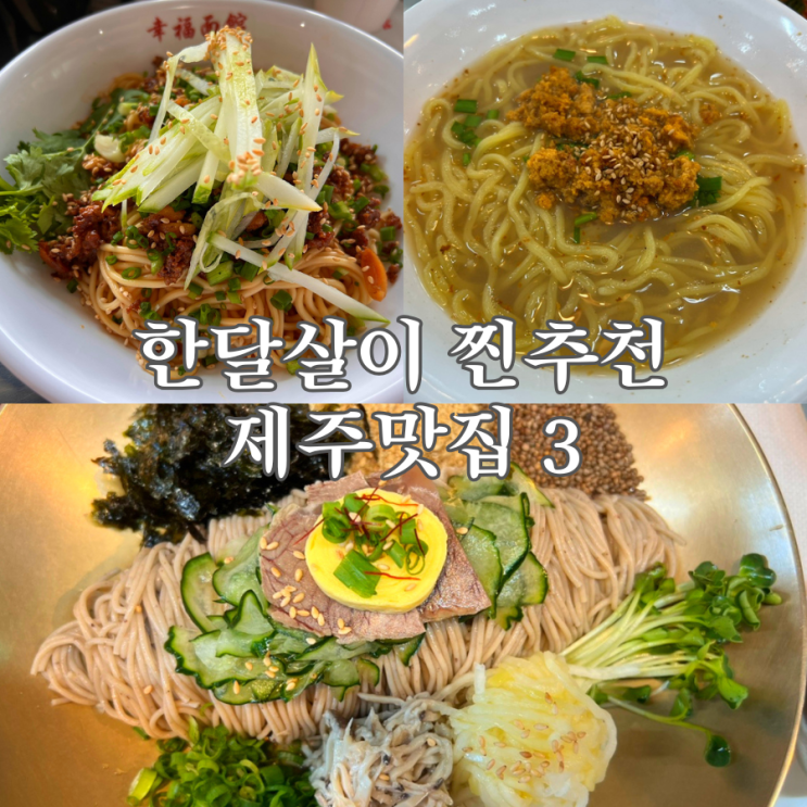  제주 한달살이 현지인도 줄 서는 맛집 3곳 (놓치면 후회!)