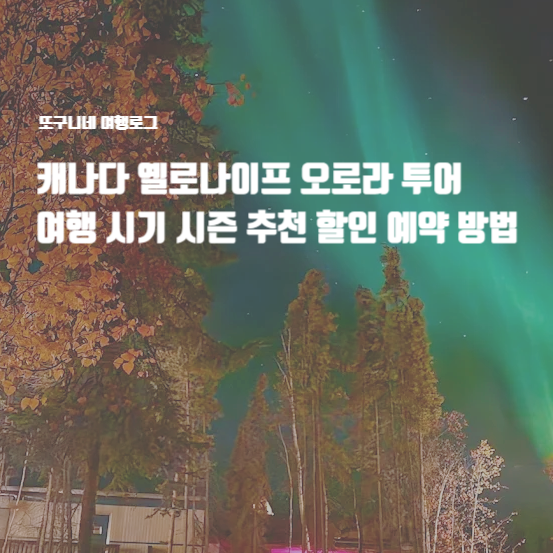  캐나다 옐로나이프 오로라 투어 여행 시기 시즌 추천 할인 예약 방법