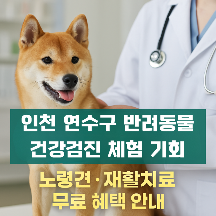  반려동물 건강검진 체험 안내｜인천 연수구 노령견·재활치료 무료 혜택 정보