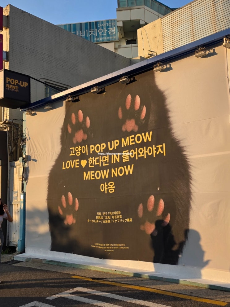  홍대 팝업 판옵티콘 고양이 팝업스토어