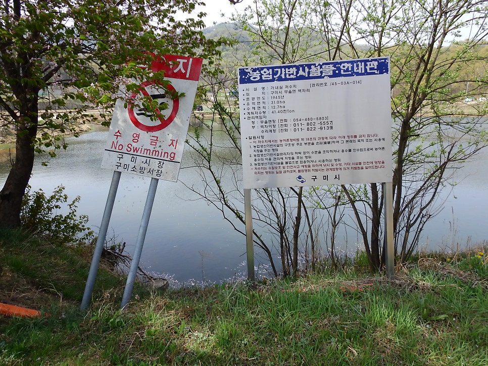 가느실지 사진 2