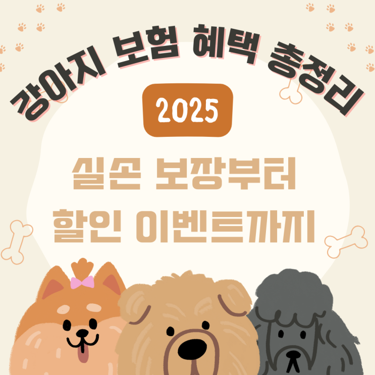  강아지 보험 혜택 비교 총정리｜더간단 펫블리, 보장과 할인 살펴보기