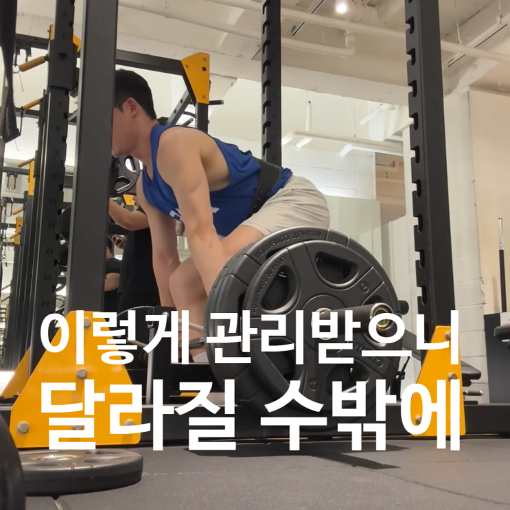  탄현 헬스장 차별화된 레디바디의 관리법