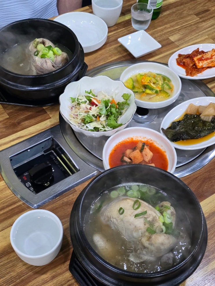  목포 삼계탕 맛집 대흥오리 평화광장 복날 보양식 백반 맛집