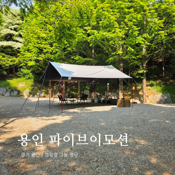  용인 파이브이모션 캠핑장 / 여름 그늘 명당