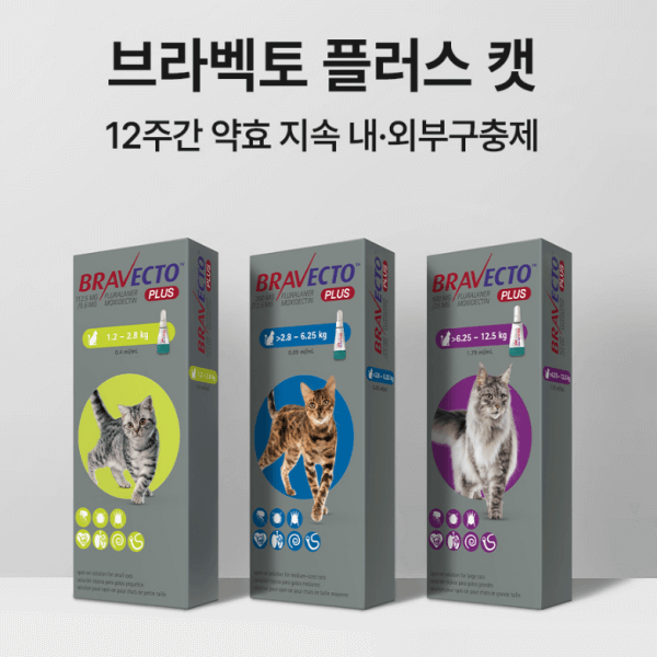 한 달에 한 번? 이젠 3달에 한 번이면 끝 브라벡토 플러스캣 [북광주동물약국/정약국]