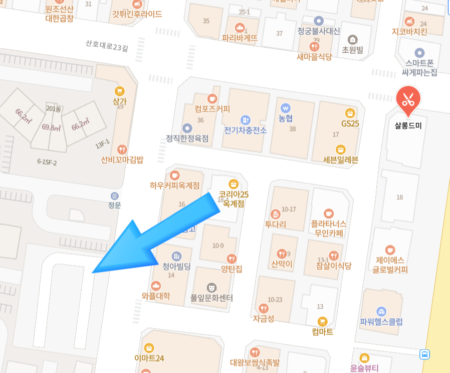 살롱드미 사진 2