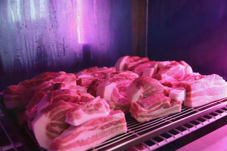  가족과 함께하는 서귀포 올레시장 맛집, 먹고정 서귀포올레시장본점