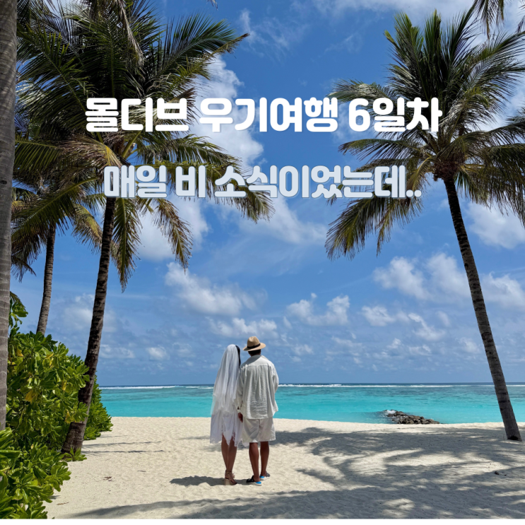 몰디브 우기 여행 6일차! 날씨 예보는 매일 비 소식이었는데..