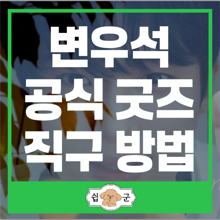  변우석 일본 공식 굿즈 직구 방법 (일본 배대지)