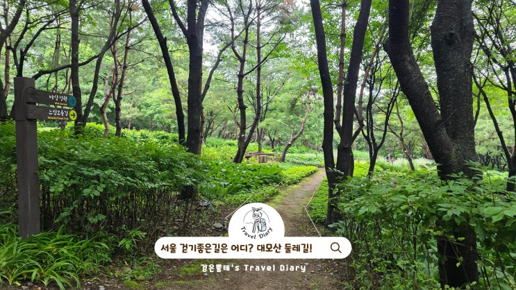  대모산 서울 둘레길 9코스 서울 초보 등산 걷기좋은길 유아숲체험장