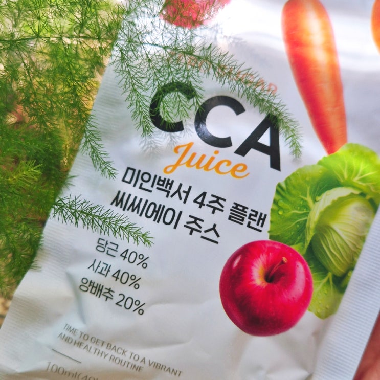  첨가물 ZERO 100% 착즙 CCA 주스로 인스턴트로 슬픈 내몸 리셋하기(당근 양배추 사과주스 후기)