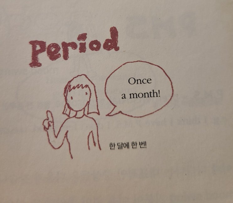 사춘기 / 생리, 월경 / 생리대