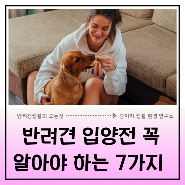  반려견 입양하기 전 정말 꼭 알아야 하는  7가지 중요한 체크포인트