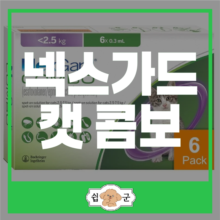  넥스가드 캣 콤보 고양이 구충제 구충범위 바르는법 구매처 (호주 배대지)