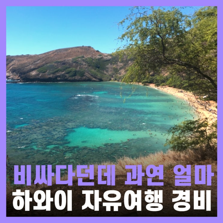  하와이 자유여행 준비 vs 패키지 경비 하나투어 후기