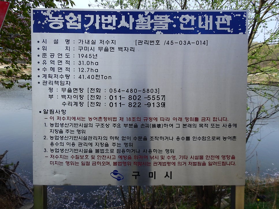 가느실지 사진 3