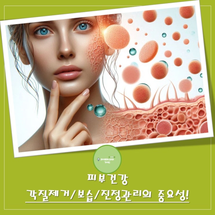 피부 장벽 튼튼! 각질 제거 및 보습 & 진정 관리의 중요성
