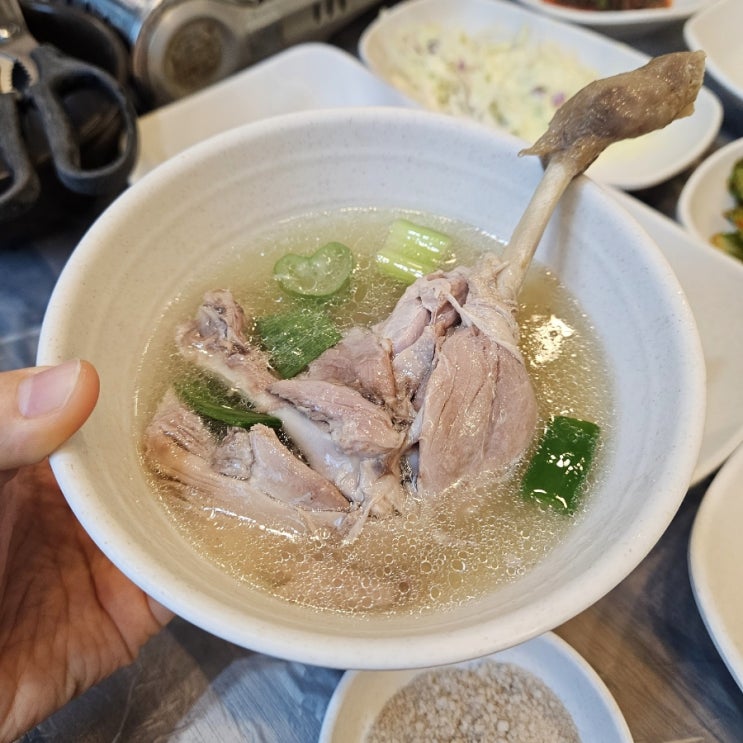 부산 오리백숙 맛집 서가네오리 가야동 점심 몸보신 음식